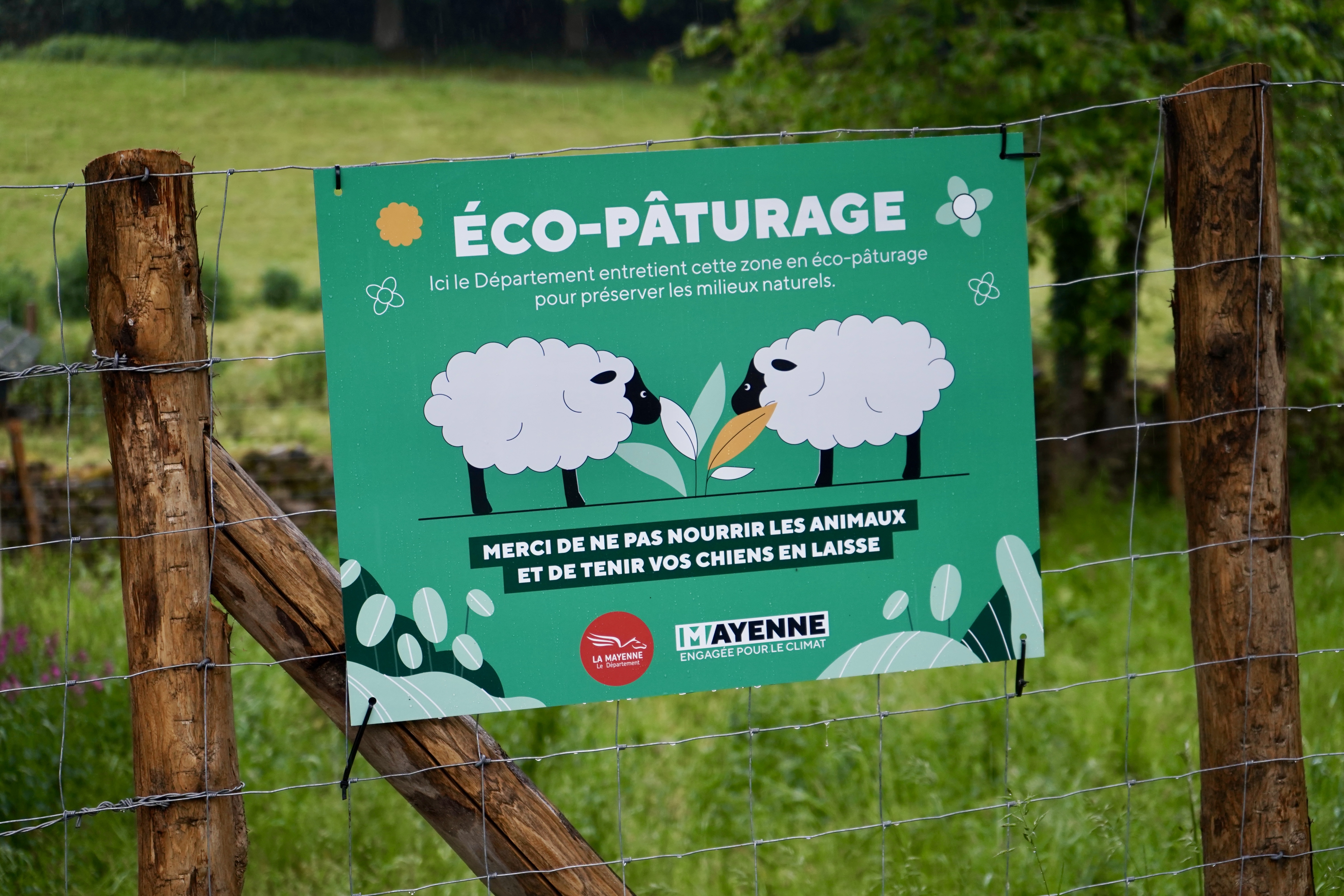 Eco-pâturage