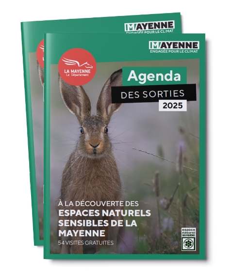 Agenda des sorties 2025